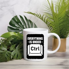 Nassom Tasarım Ve Baskı Everything Is Under Ctrl Baskılı Kupa Bardak | Programcılar ve Teknoloji Severlere Hediye