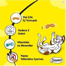 Dreamies Kedi Ödül Maması Karışık 60 gr x 24 Adet