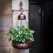 Handygoo Flower Pot Bakır Saksı