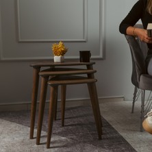 Trihome Masif Doğal Ahşap Zigon Sehpa 3'lü Set Modern Masif Yan Sehpa Ceviz