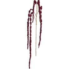Laromita Decoration Amaranthus Dal Kırmızı / 107 cm