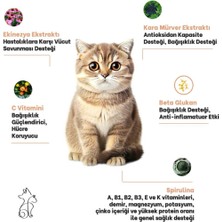 Kahu Naturals Immunovital Kedi Immün Sistem ve Vitamin Takviyesi 100 ml