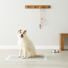 Belirtilmemiş Noname Köpek Çiş Pedi - 60*90CM / 40GR / 50AD