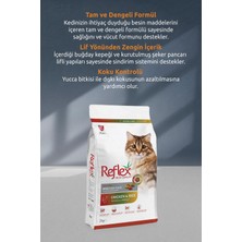 Multicolor Renkli Tavuklu Yetişkin Kedi Maması 2 kg x 3 Paket