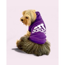 Kemique Mor Adidog Kapşonlu Sweatshirt Köpek Kazağı