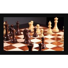 Noventra Satranç (Chess)