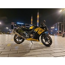 Honda Cbr 250R 2014-17 Desenli Sticker Etiket Modeli