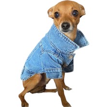 ZIGGYDOG Köpek Kıyafeti Kot Mont Ceket