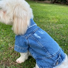 ZIGGYDOG Köpek Kıyafeti Kot Mont Ceket