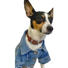 ZIGGYDOG Köpek Kıyafeti Kot Mont Ceket