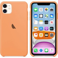 Tekamo Apple iPhone 11 Silikon Lansman Kılıf