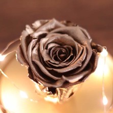 By Lamp Rose Solmayan Gül Işıklı Sevgiliye Hediye Fanus Lamba