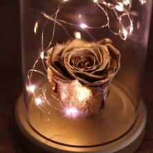 By Lamp Rose Solmayan Gül Işıklı Sevgiliye Hediye Fanus Lamba