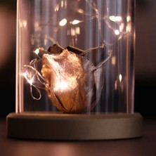 By Lamp Rose Solmayan Gül Işıklı Sevgiliye Hediye Fanus Lamba