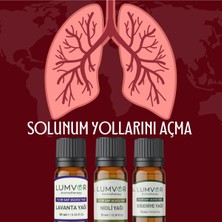 Lumvor Solunum Yollarını Açma Yağı 3'lü Set 30 ml %100 Saf Ve Doğal (ESSENTİAL OİL) Aromaterapi