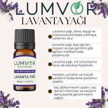 Lumvor Lavanta Uçucu Yağı 10 ml %100 Saf Ve Doğal (ESSENTİAL OİL) Aromaterapi