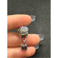 Hector Co Jewellery Disney Up-Ev ve Balonlar Charm