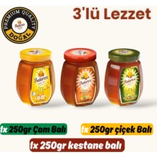 3'lü Lezzet Kestane,çiçek,çam Balı 250G