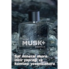 Avon Musk Marine Musk Instinct ve Musk Mineralis 75 ml Erkek Parfüm Seti