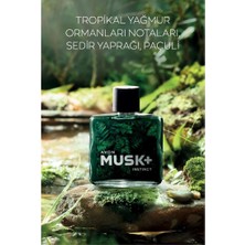 Avon Musk Marine Musk Instinct ve Musk Mineralis 75 ml Erkek Parfüm Seti