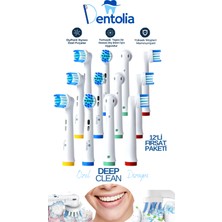 Dentolia Oral-B ve Braun Uyumlu Şarjlı Diş Fırçası Yedek Başlık 12'li Paket