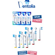 Dentolia Oral-B ve Braun Uyumlu Şarjlı Diş Fırçası Yedek Başlık 12'li Paket