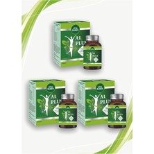 Vitabumin A1 Plus L-Carnitine Lepidium - Bitkisel 30 Kapsül x 3 Adet