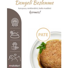 Anatolian Premium Adult Sterilised Salmon Pate Kısır Kedi Ezme Kedi Konservesi 400 gr x 12 Adet