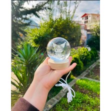 MR Shopping Harika Hediye 3D Kristal Cam Küre, Ahşap Soketli Gece Lambası,led, Gece Lambası,harika Bir Hediye