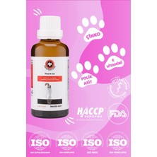 Pawnacare Plus B 50 ml Kediler Için Tüy Sağlığını Destekleyici Multivitamin Damla Tüy Damlası Yepyeni Formül