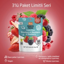 Pol's Freeze Fresh Orman Meyveleri Mix 15 G x 3 Adet