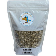 Kendir Tohumu