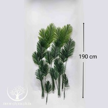 18'li Tusem Areka Yaprağı (Saksısız) - Premium