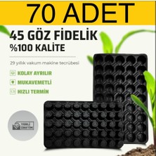 70 Adet 45 Göz Fide Viyolü, (Fidelik, Fide Altlığı)