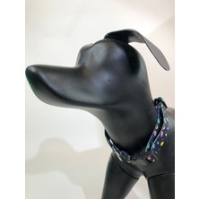 Mita Ayarlanabilir Köpek Boyun Tasması Space