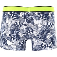 U.S. Polo Assn. Erkek Antrasit Melanj İç Giyim Alt 50301682-VR081