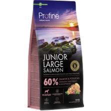 Profine 12 kg Gluten Free Junior Large Salmon Glutensiz Iri Irk Somon Etli Yavru Köpek Maması