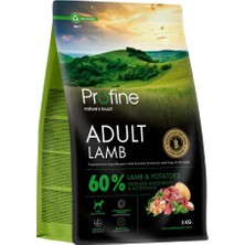 Profine 3 kg Gluten Free Adult Lamb Glutensiz Kuzu Etli Yetişkin Köpek Maması