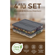 Nesto Home 4'lü Set 1170 ml Buzdolabı Düzenleyici Buzluk ve Mikrodalga Saklama Kabı