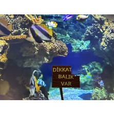 Atg Store Akvaryum Dekoru - Dikkat Balık Var Yazısı (Ahşap Desenli)