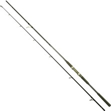 Captain 1465 Assai Spin 2 Parça Shore Jig Kamışı 30-125GR Atar 290 cm