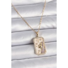 Clariss 316L Çelik Gold Renk Zincir Başak Burcu Zirkon Taşlı Kadın Kolye