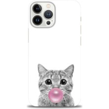 iPhone 16 Pro Kılıf Hd Baskılı - Cat + 9h Nano Ekran Koruyucu