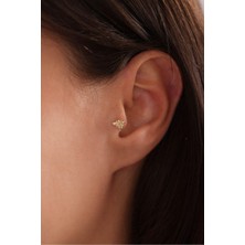 Gianfranco Arı Tragus Küpe
