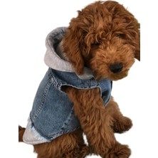 Ziggy Dog Köpek Jean Kot Yelek Gri Kapşonlu