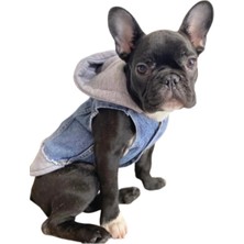 Ziggy Dog  Köpek Jean Kot Yelek Gri Kapşonlu