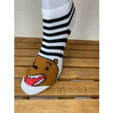 3'lü We Bare Bears Desenli Pamuklu Kısa Kadın Çorap