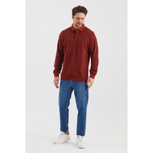 Polo Yaka Çizgili Regular Fit Sweatshırt (WK25214)