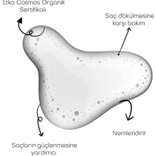 Alls Biocosmetics Organik Prebiyotik Şampuan 350 ml