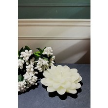 Teknotrust melodi  Lotus Mum  10 Adet Dekoratif Tasarım Mum Lotus Çiçeği (7x7 Cm)